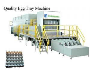 China Pulp Molding  Egg Box Forming Machine 30t Carton Forming Fully Automatic on sale