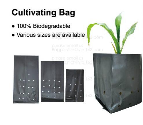 Planter Bags, Grow Bags, Cultivating Bags, Nursery Pot, Greenhouse, Agricultural