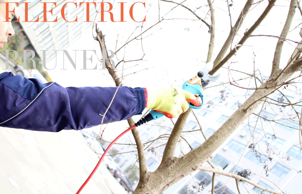 Swansoft professional electric pruning shear 3.0 CM electric bypass pruner to Europe and US and Korea