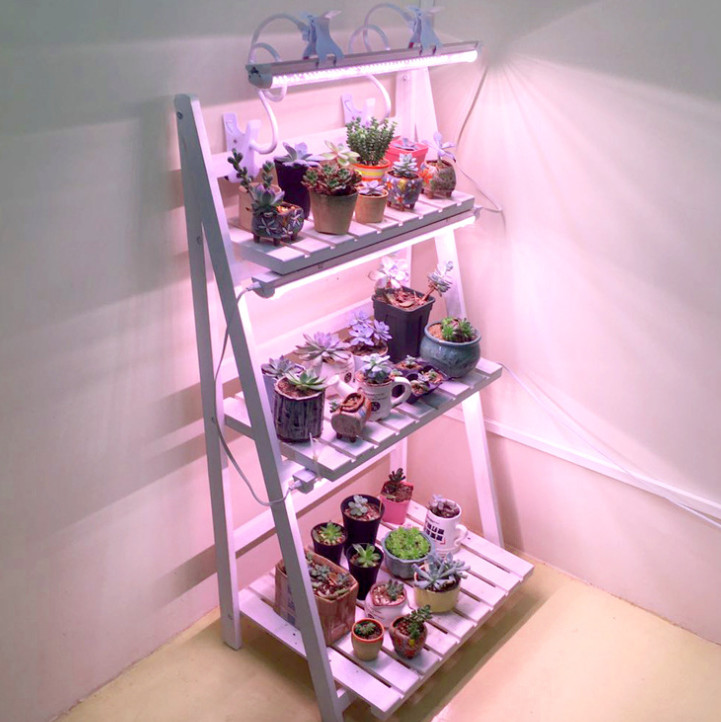 XPG Package 3W 500nm 505nm LED Grow Light Chip For Plant Growth Light