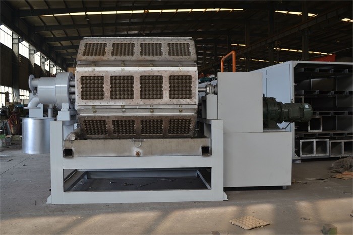 Full Automatic Paper Egg Tray Machine Paper Fruit Apple Plate Dish Making Machine