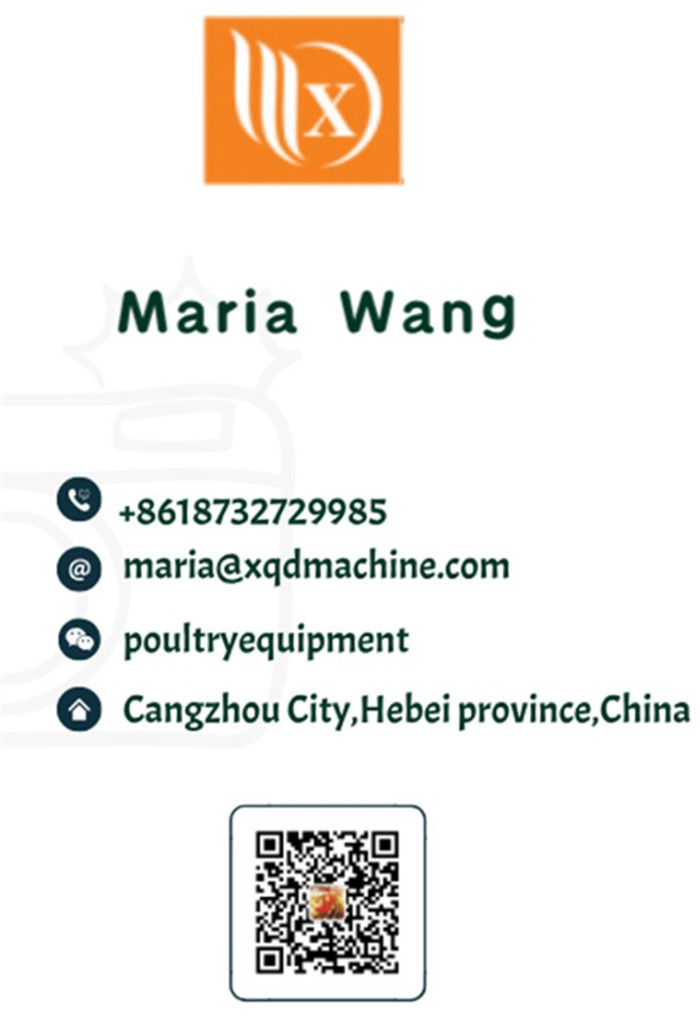 Automatic Chicken Feeder System Broiler Poultry Equipment