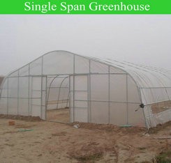 Film Covered Greenhouse for Agriculture in Namibia Affordable and Customizable Height