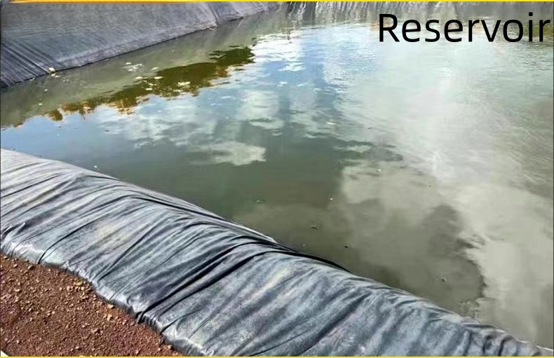 Modern Design Geomembrane Fish Pond Liner 0.3mm 0.5mm Width 1-6m Easy Installation