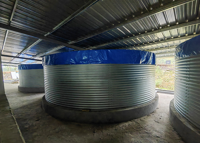 Industrial Indoor Recirculating Aquaculture System 7kg/M³ Shrimp Density 30% Faster Growth