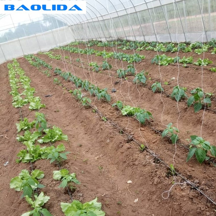 Irrigation Drip Greenhouse Irrigation System Pipe For Agriculture Trigger Sprayer