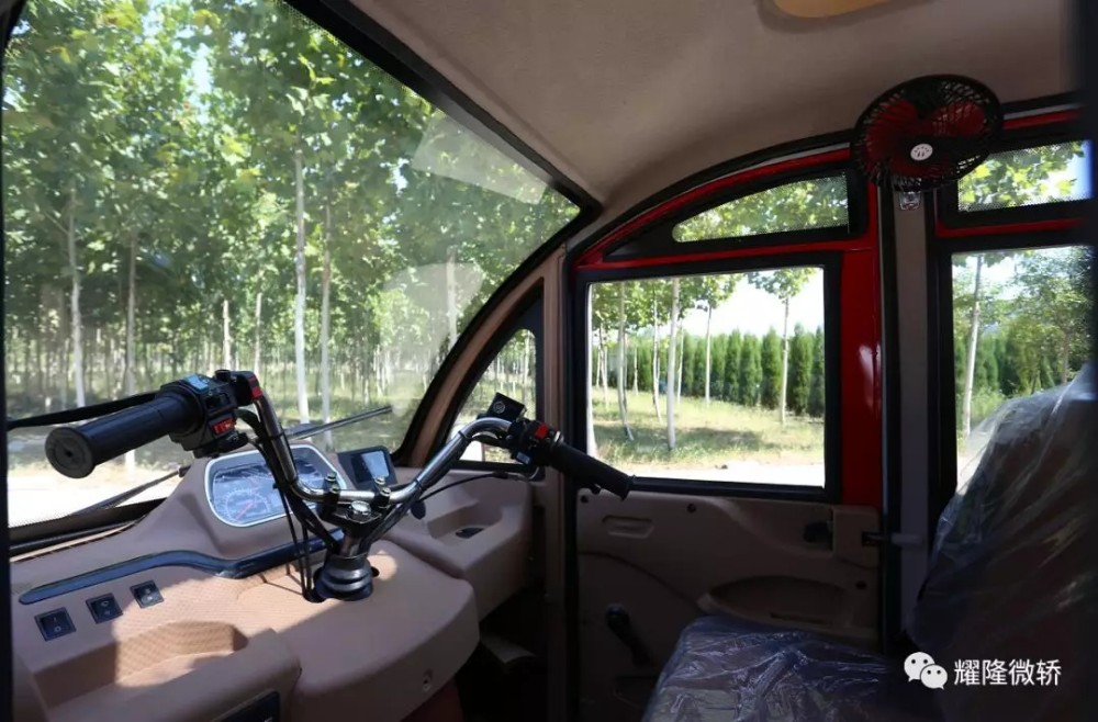 Adult Gasoline Tuk Tuk Moto Three Wheeled Cabin Tricycle