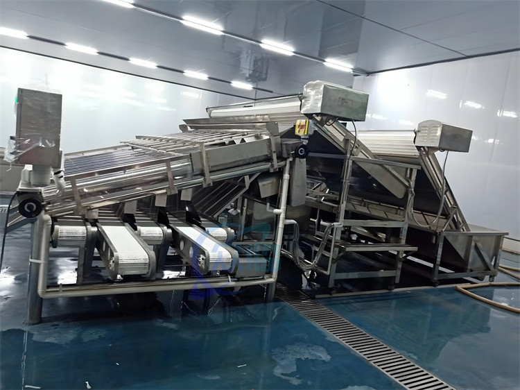 380V 50Hz Seafood Sorting Machine , Multiscene Shrimp Sizing Machine
