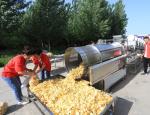 Potato Chip Fryer Processing Line Equipment Customization for Consistent