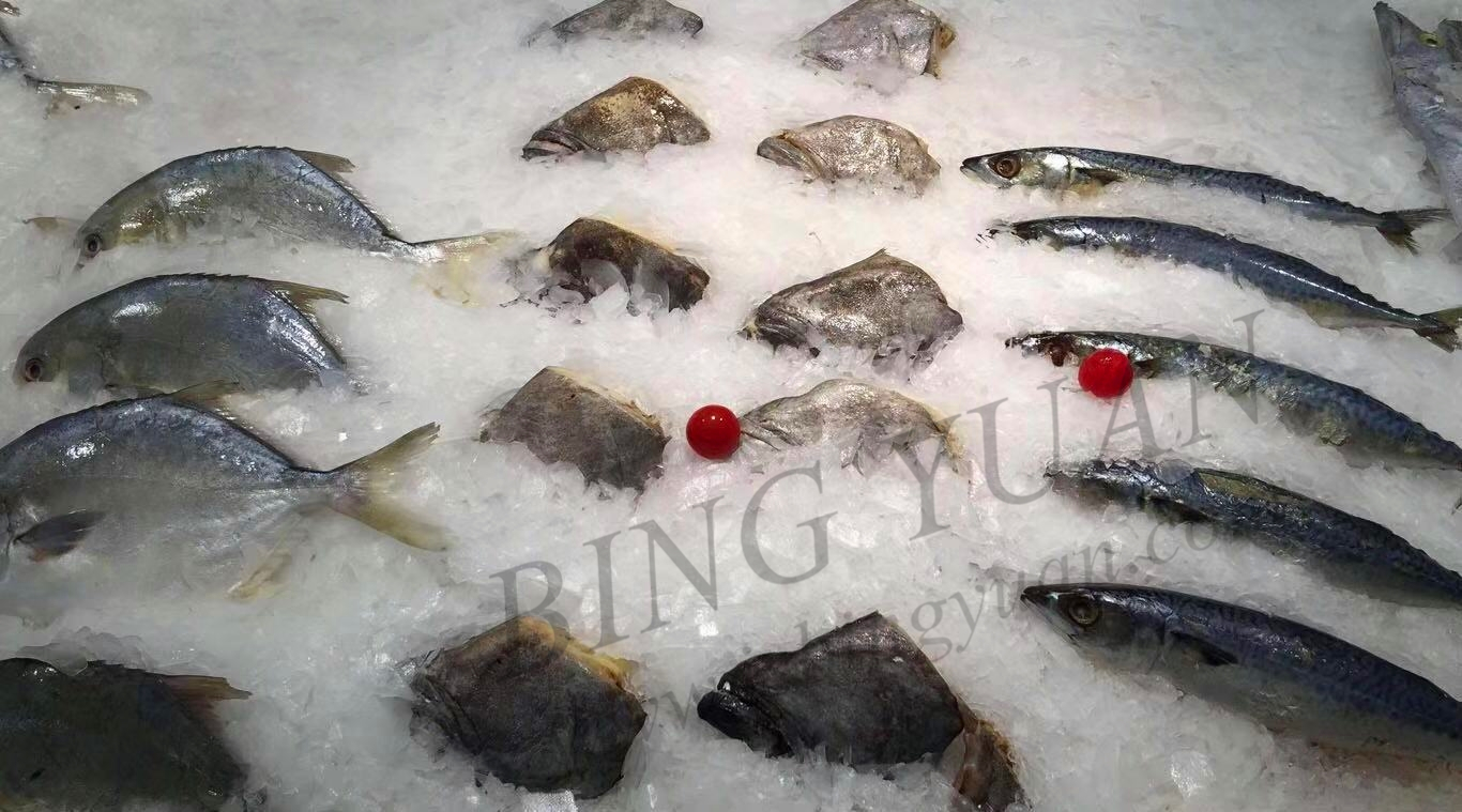 Seafood 2.7KW SS304 Flake Ice Maker Machine , Industrial Ice Maker Machine