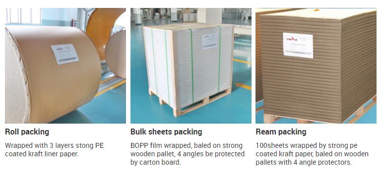 Double Side Coating 100%Virgin Wood Pulp No Carbon Paper White/Pink/Yellow/Blue/Green