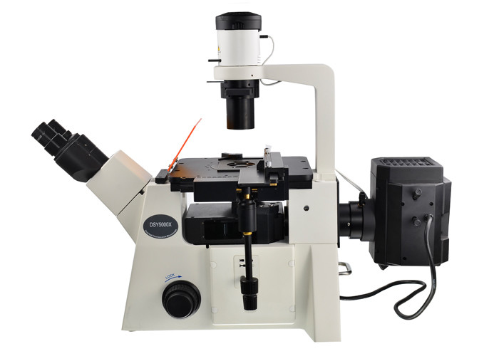 DSY5000X Inverted Optical Microscope B/G/ V/UV Filter Upright And Inverted Microscope