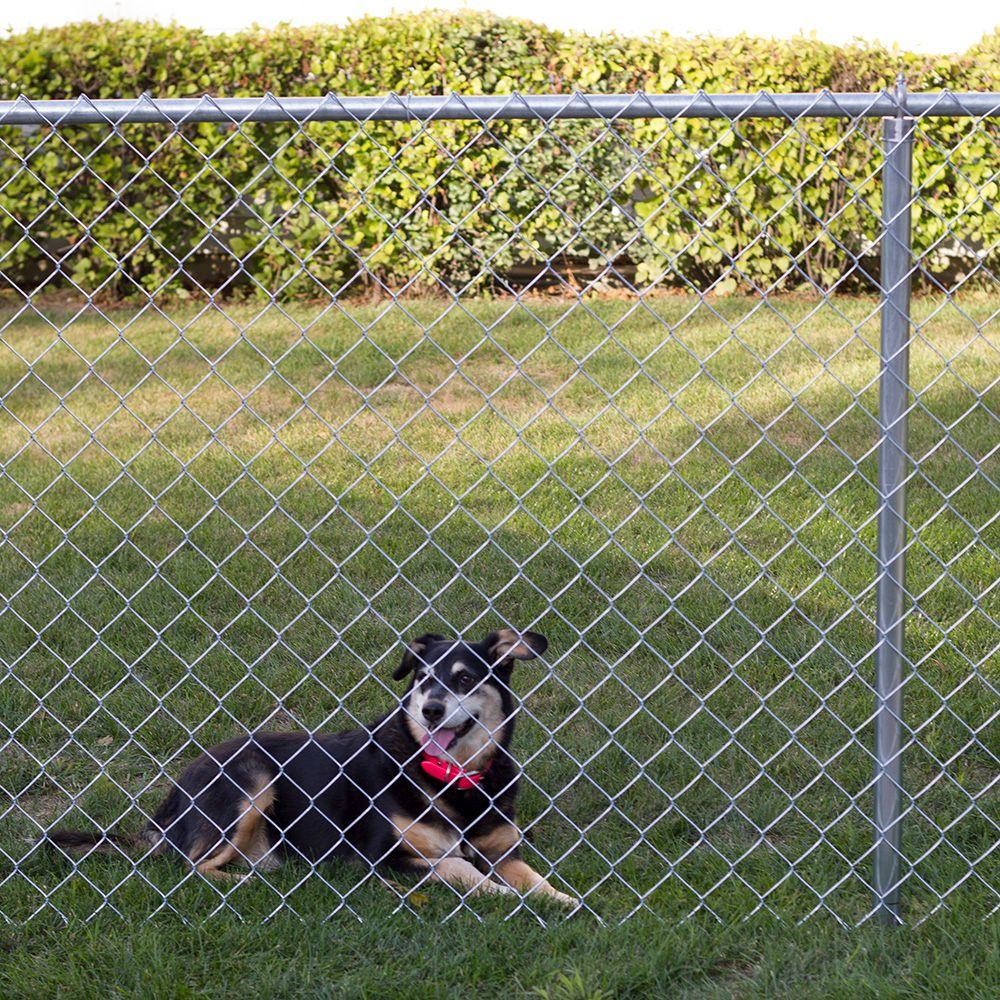 Garden Chain Link Fence PVC Coated Galvanized Green Vinyl Coated
