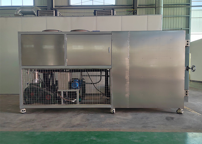 100L 200L Freeze Dryer Pharmaceutical Industry Liofilizador Freeze Dryer