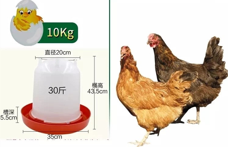 Outdoor Plastic Bucket 9kg Poultry Feeder Drinker