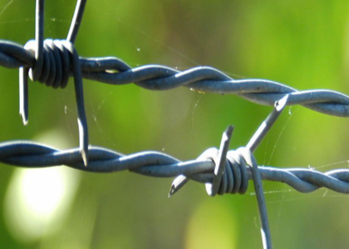 2.5mm Low Carbon Steel Galvanised Barbed Wire In 28cm Roll