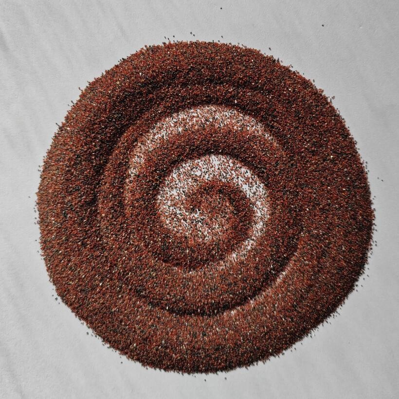 Garnet Sand mesh 30/60 Abrasive for Sandblasting: Natural Abrasive medium, Mohs 7.0-7.5, Sa2.5-3