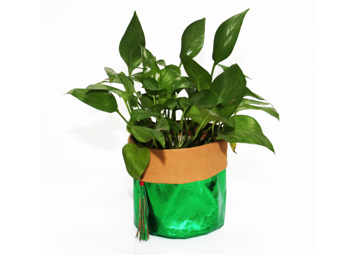 0.55mm Washble Kraft Paper Storage Bags Light Reusable Paper Bag Seedling Pots