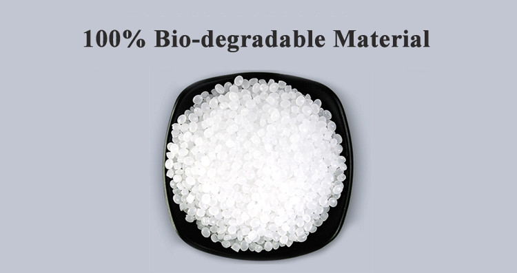 Food Grade Biodegradable Packaging Bags Heat Sealable Custom Printed Stand Up Pouches
