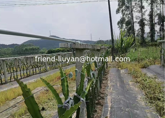 100gsm Breathability Polypropylene Ground Cover Land Moisture Pp Woven Fabric