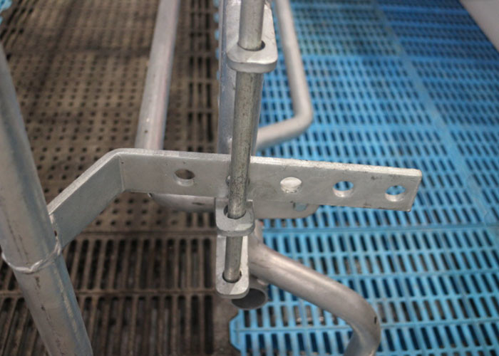 Hot DIP Galvanized Sow Farrowing Crate 1 Inch Tube Swine Farrowing Pen