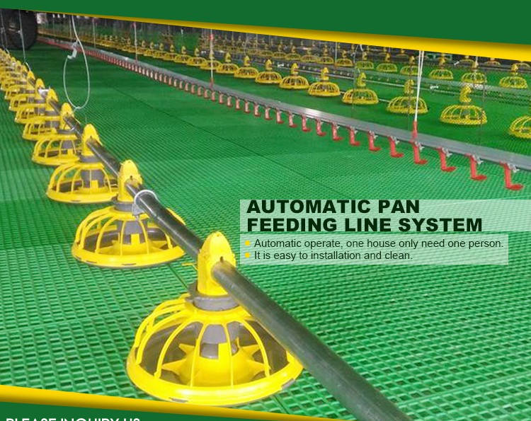Agricultural Products Automatic Chicken Feeder Agricultural Greenhouses Animals Feeder