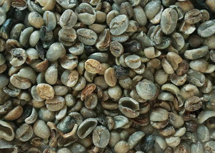 CE Certificate CCD Sensor Bean Color Sorter Coffee Beans Processing Machine