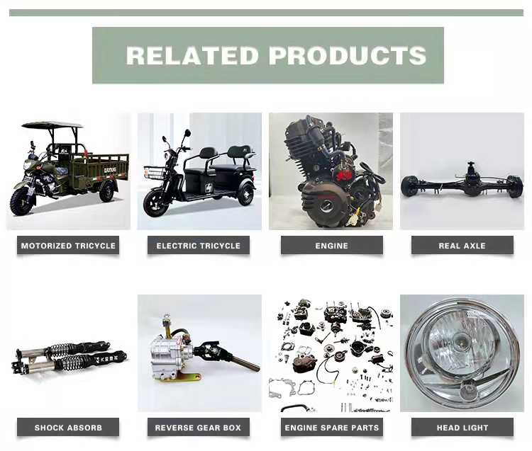 800W Power Battery Engine Plate 3 Wheel Cargo Tricycle for Adult Car