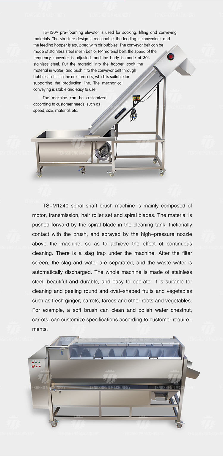Multifunctional Fruit And Vegetable Processing Line Hoisting Machine