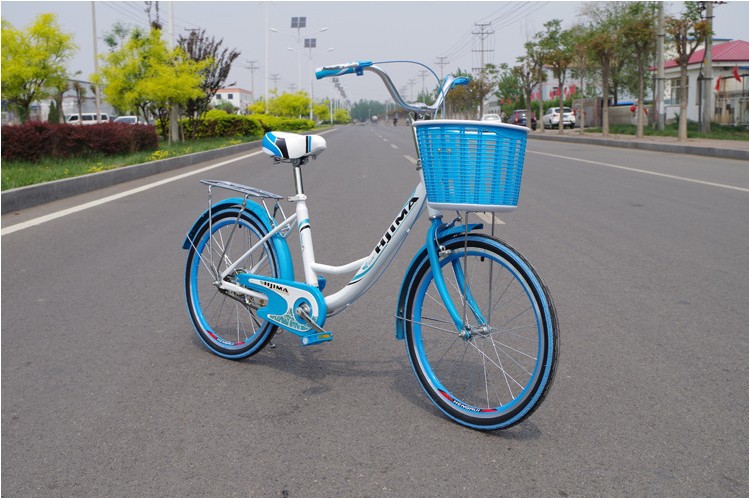 Steel Single Speed Adult 24 Inch City Bike