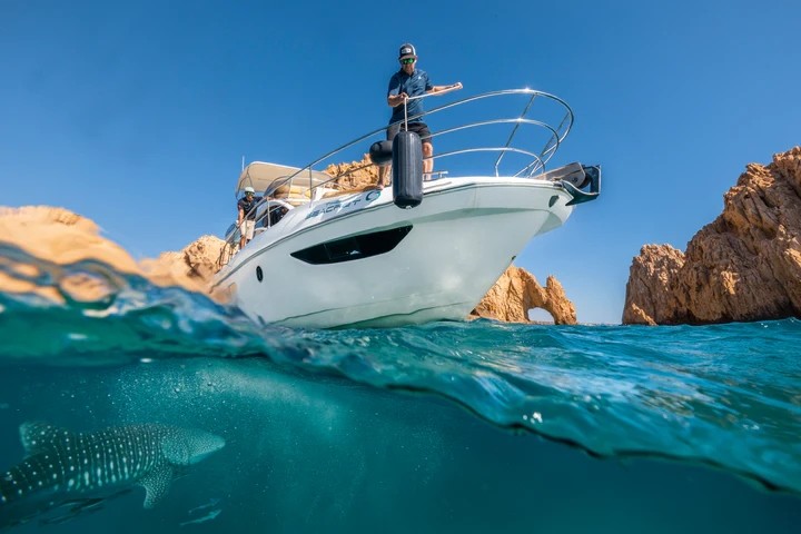 Factory Hot Selling HTM Series Boat Fender Wholesales
