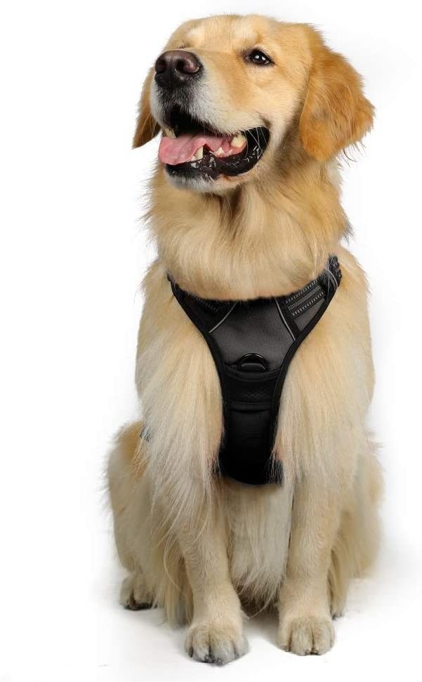 Reflective Strips Lightweight Small Dog Harness / Security Trail Running Dog Harness