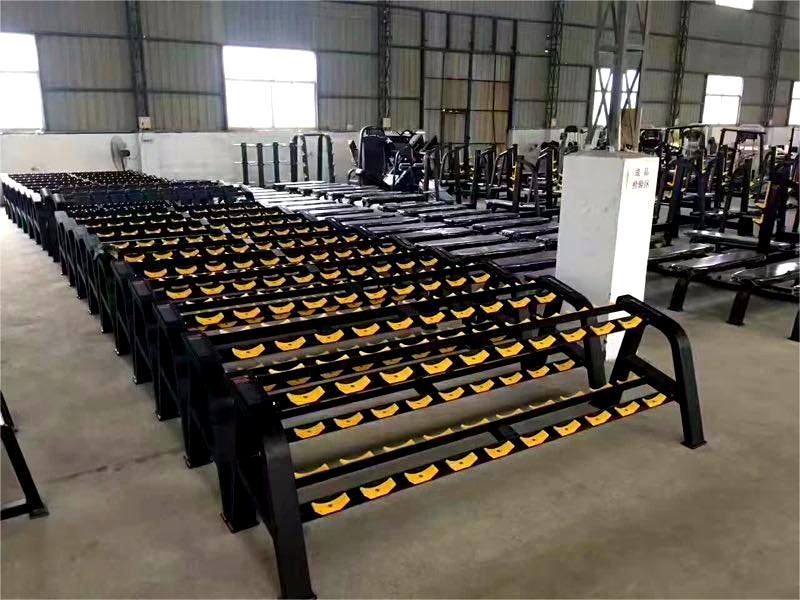 Custom Multi Function Gym Machine With Steel Dumbbell Rack