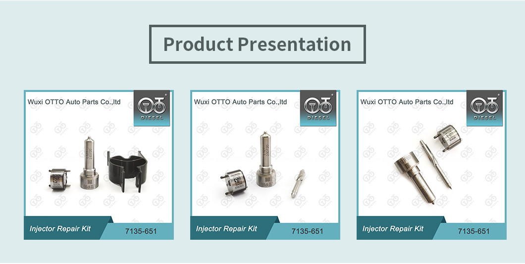 Nozzle-Valve Kit 7135-651 Delphi Injector Repair Kit For R02201Z With Nozzle L121PBD Nozzle-CVA Kit