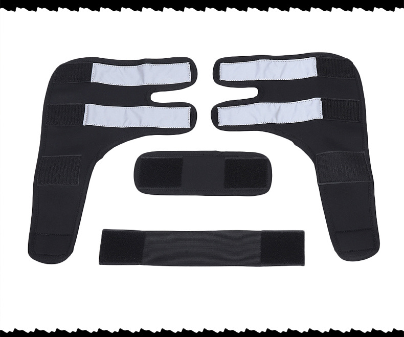 Hock Joint Sports Knee Pads Breathable Shockproof Custom Small Dog Knee Brace