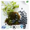 Buy cheap Bilberry Extract for eye health from wholesalers