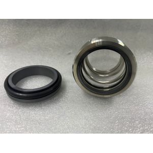 Mechanical Seal Roten Uniten 2 Seal Single Spring Flowserve 42