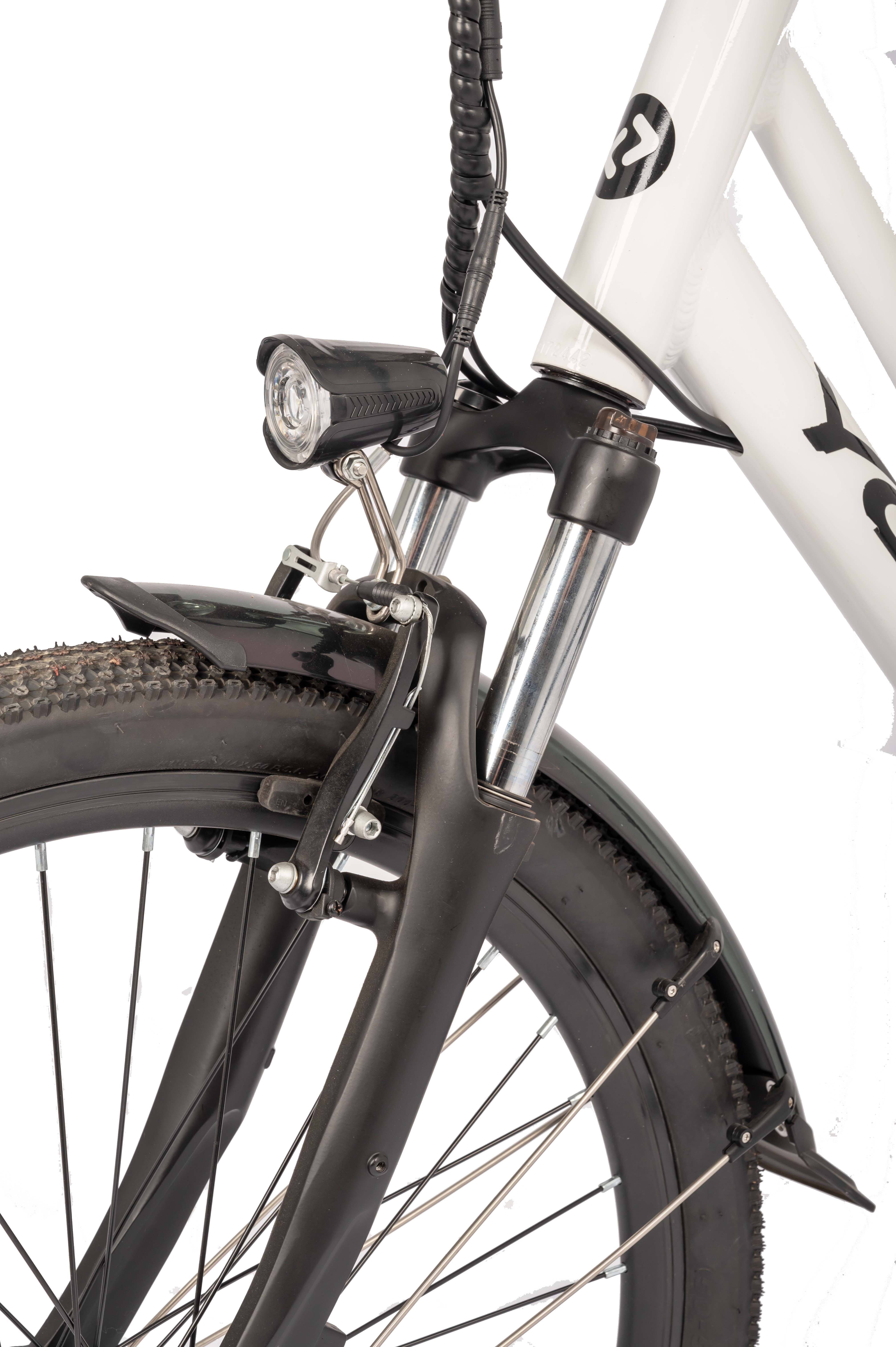 DOMANCA 750w Lady Electric Bike Sensor Smart Type and 18 Speed Gears for City Riding