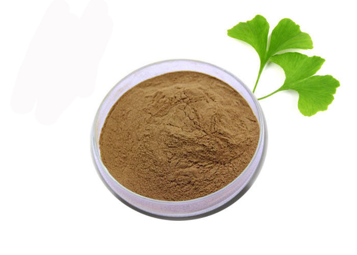 Regulate Blood Fat 24/6 Ginkgo Biloba Standardized Extract