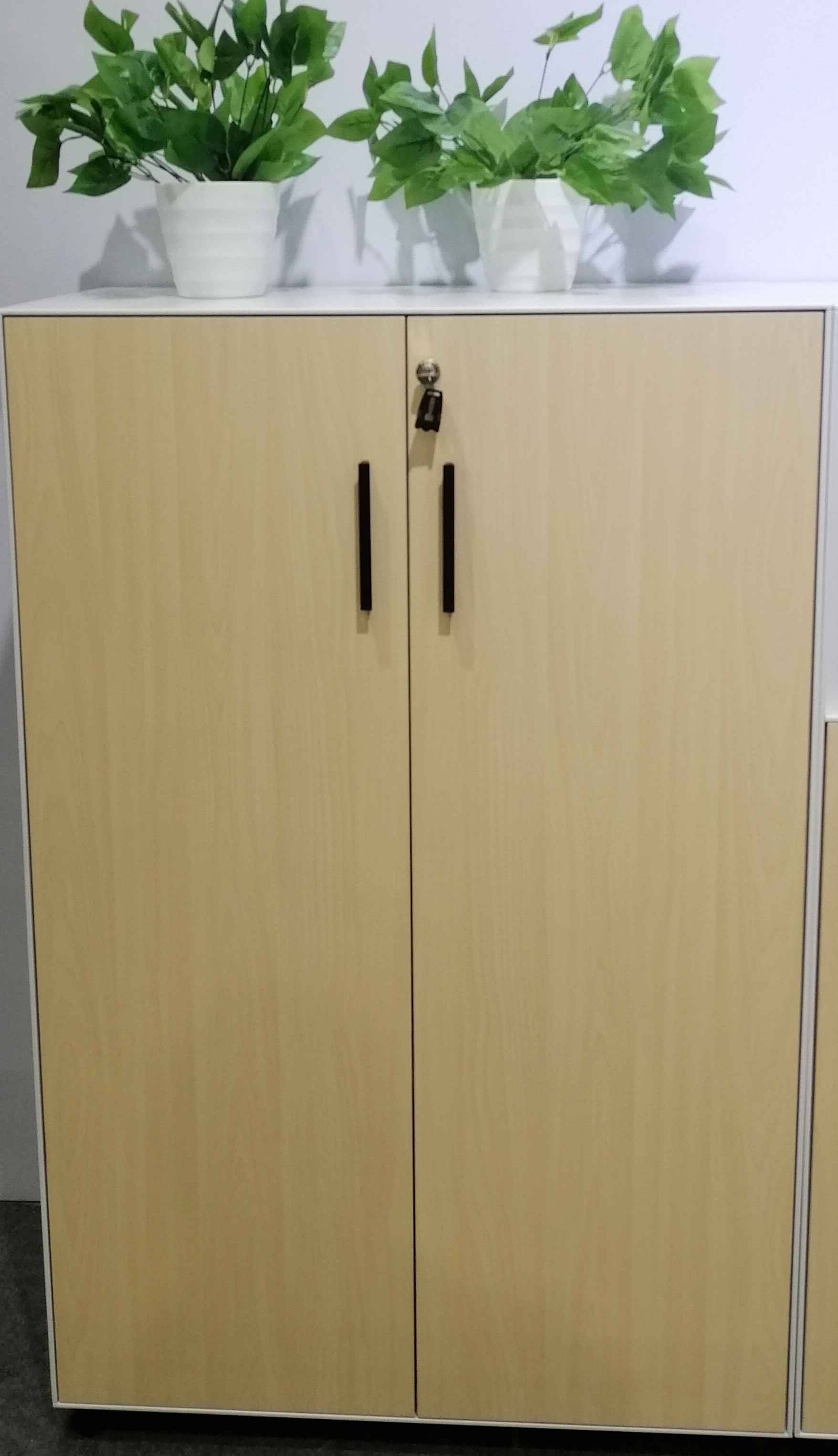 Slim Edge 5mm Swing Door Cabinet Double Layers Plate Steel Office Cabinet