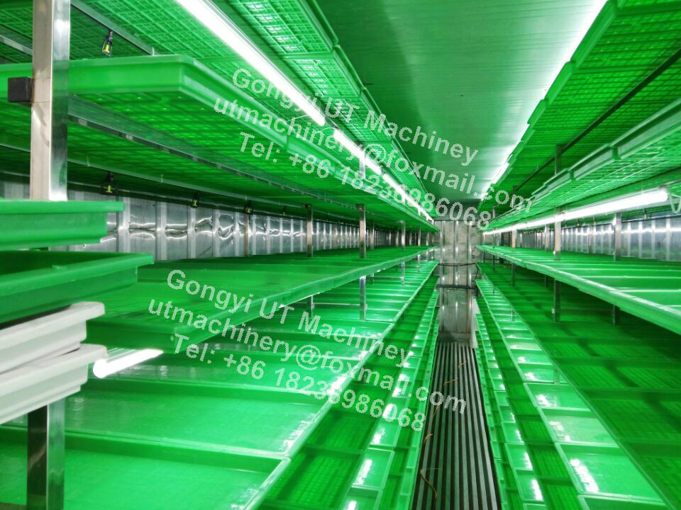 PLC Muti-Layer Container Type Hydroponic Barley Microgreen Machines for Production