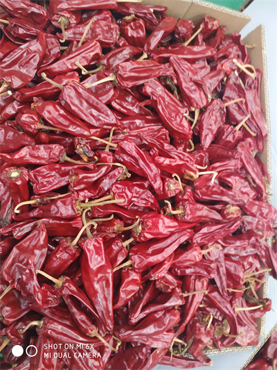 Dried Yidu Chili With Stem Grade A Dried Red Chile Pods