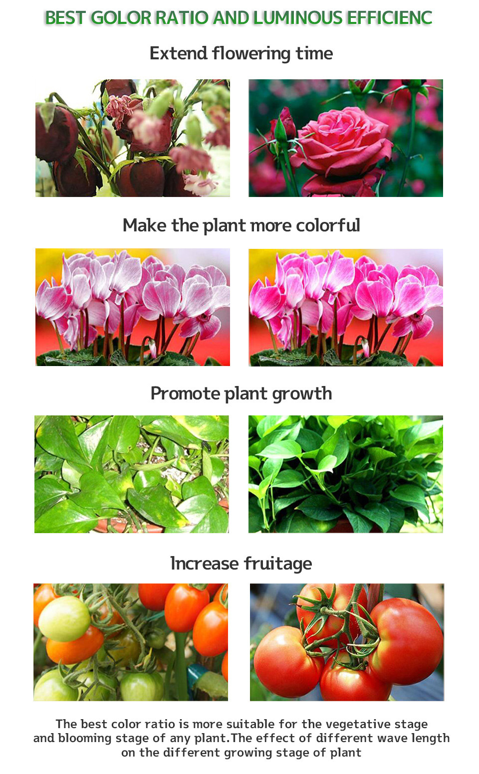 65w 100w Led Plant Light Switch Control For Flower And Vegetable Growth