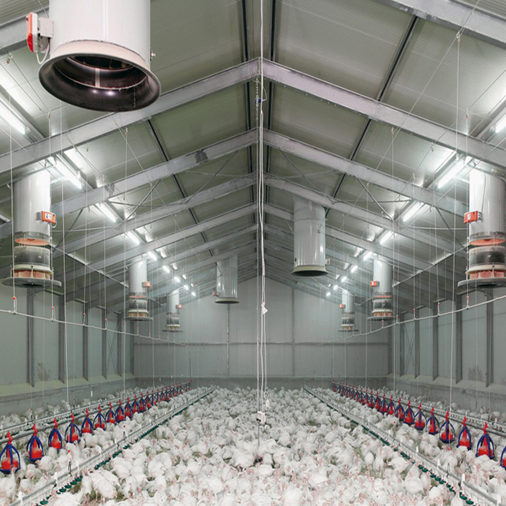 Customizable Farm Steel Structure Poultry House Galvanized For Automated Ventilation