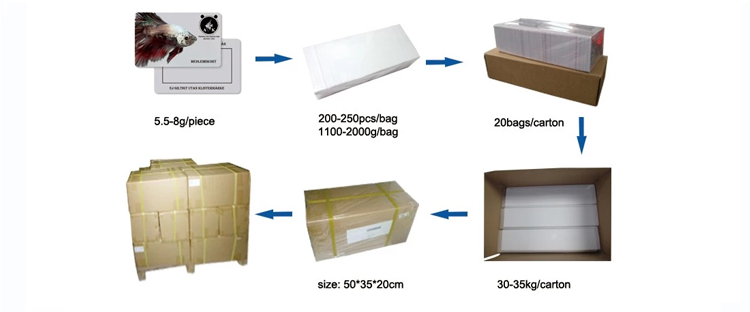 Plastic Blank Hico Magnetic Cards , PVC Loco Mag Stripe Printing