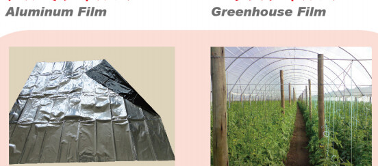 China factory supply irrigation system pe pipe price Ldpe pipe,25mm Garden irrigation PE pipe,Polyethylene PE Flexible P