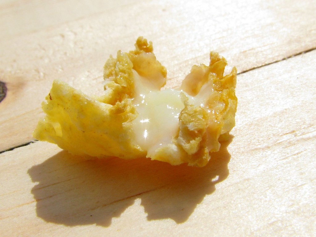 Natural 1.6% 10-HDA Organic Fresh Royal Jelly Pure Royal Jelly for health care