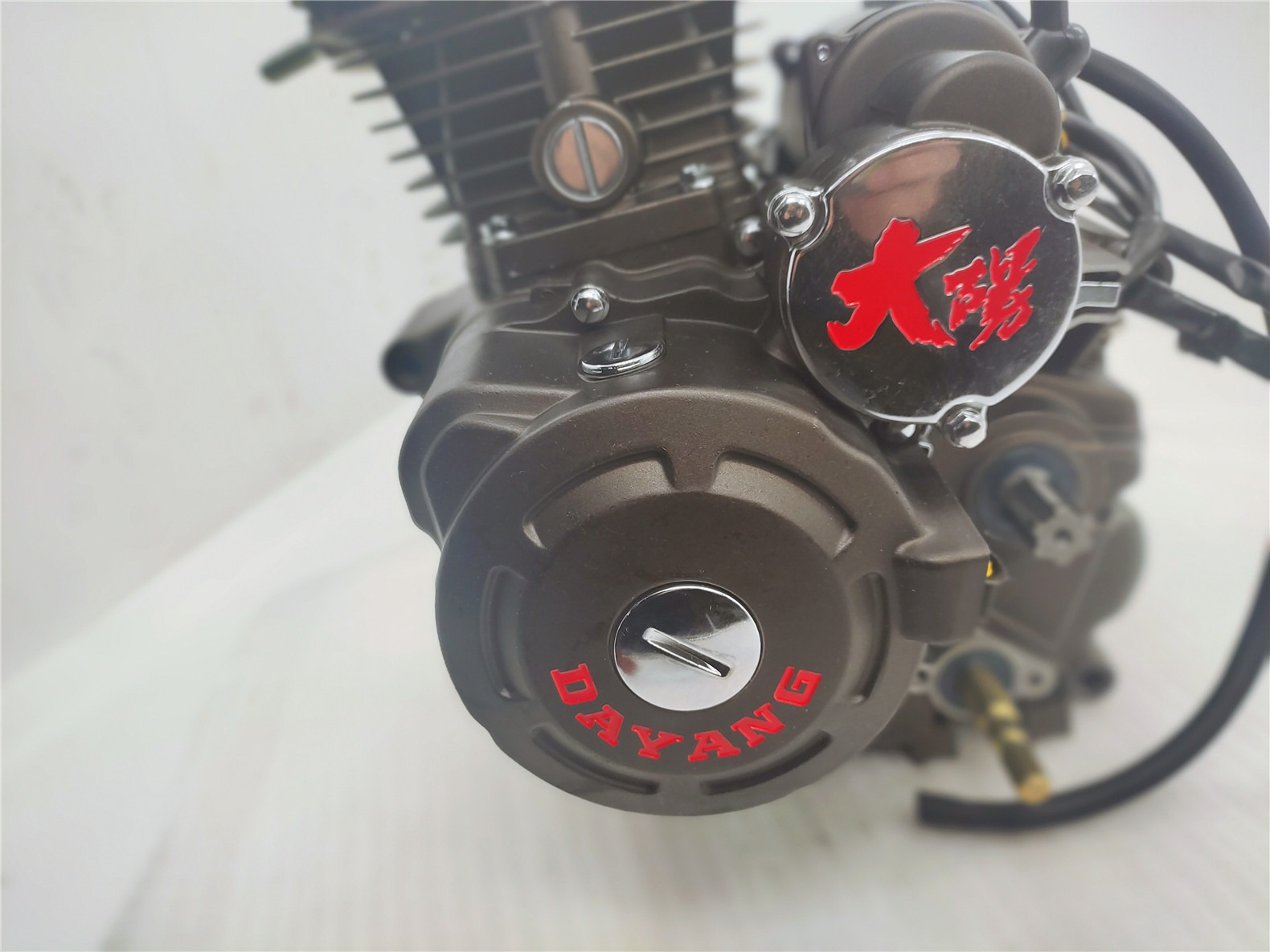 Steel Air Cooling CG200 DAYANG Motorcycle Tricycle Engine Assembly 198ml Electric/kick Method Origin
