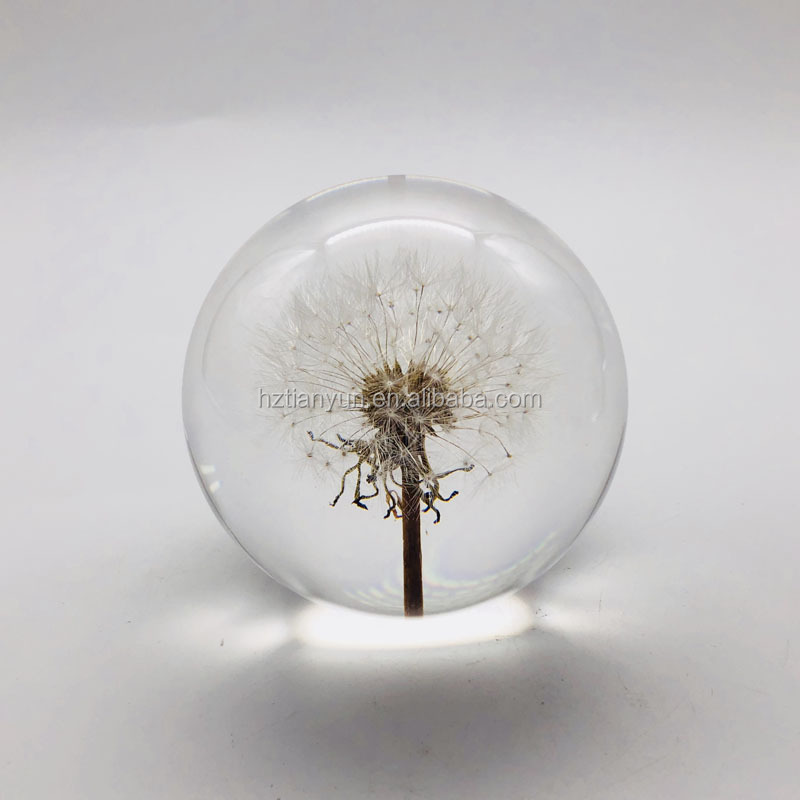 Real Flower Paperweight Dia80mm With Hydrangea Inside