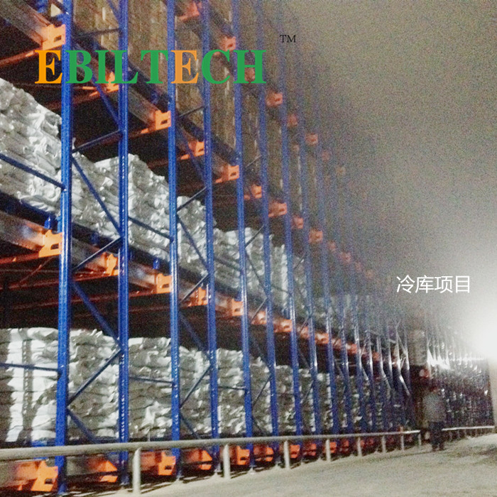 Electric Safe Radio Shuttle Racking System Easy Operation For Cold Storage Warehouse